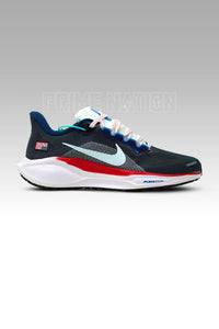Nike Pegasus 41 USA