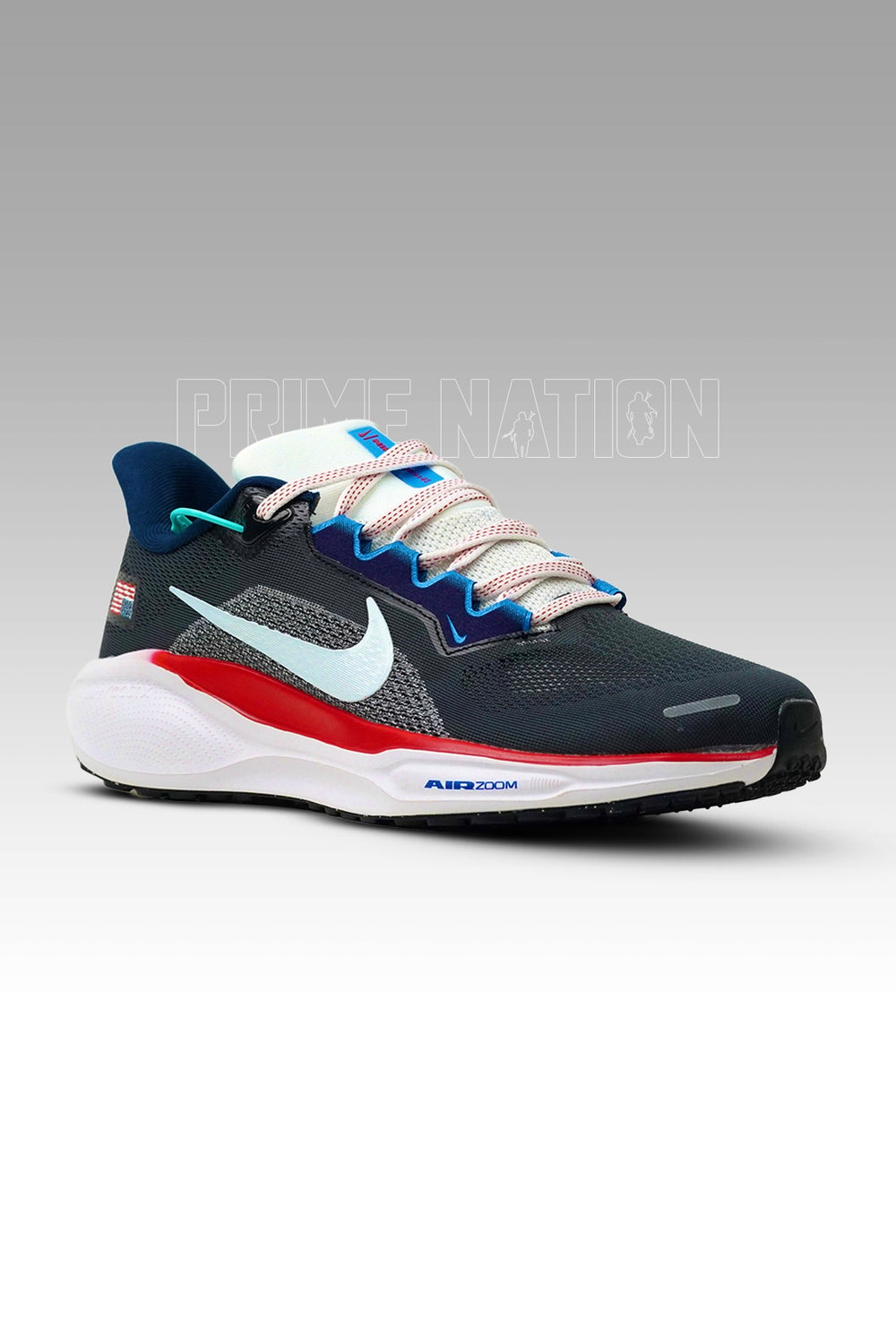 Nike Pegasus 41 USA
