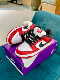 SB Dunk Chicago Red
