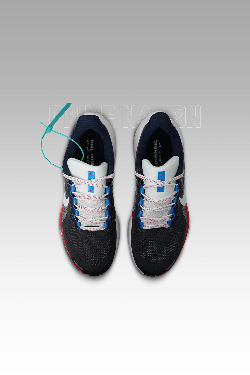 Nike Pegasus 41 USA