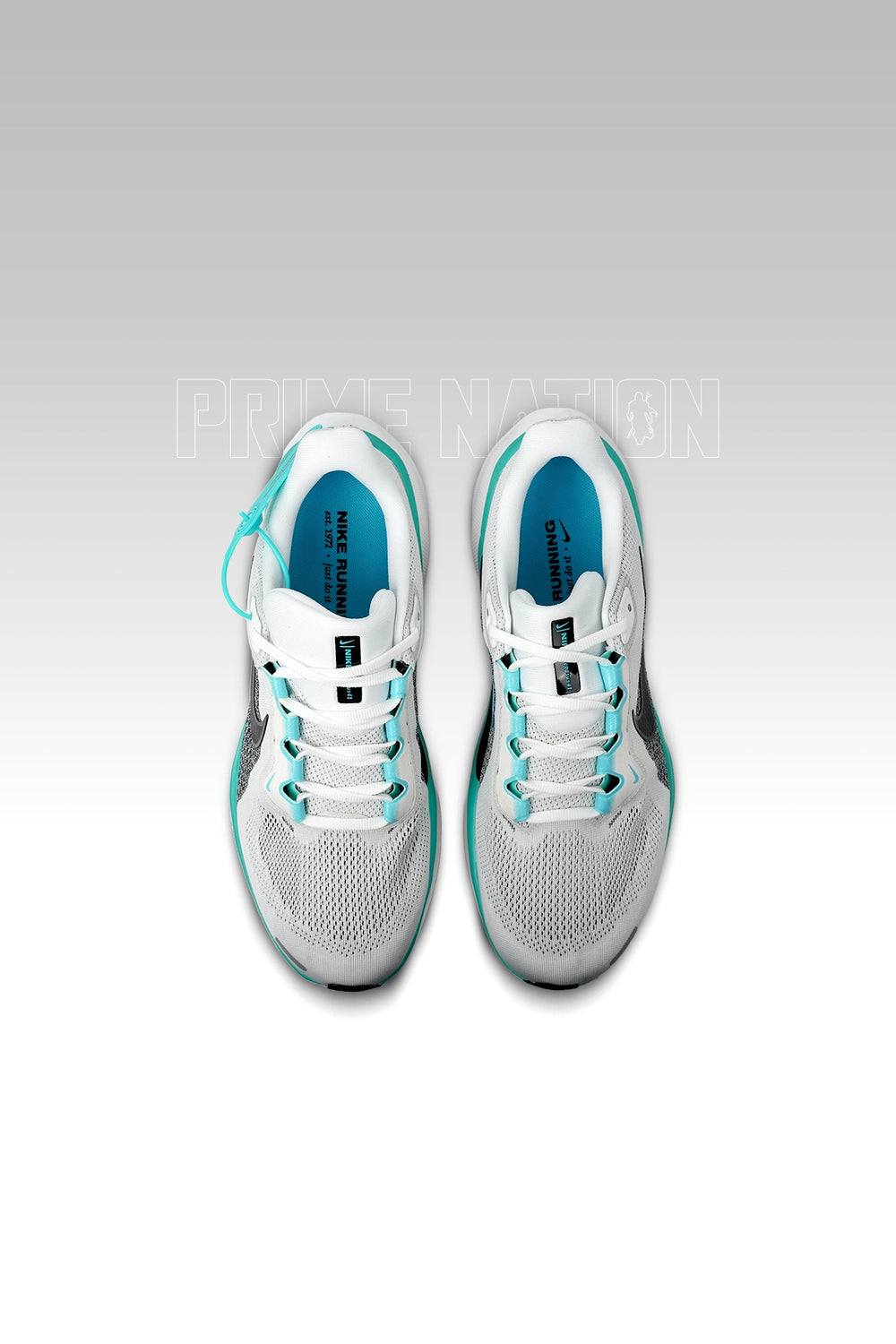Nike Pegasus 41 White Dusty Cactus
