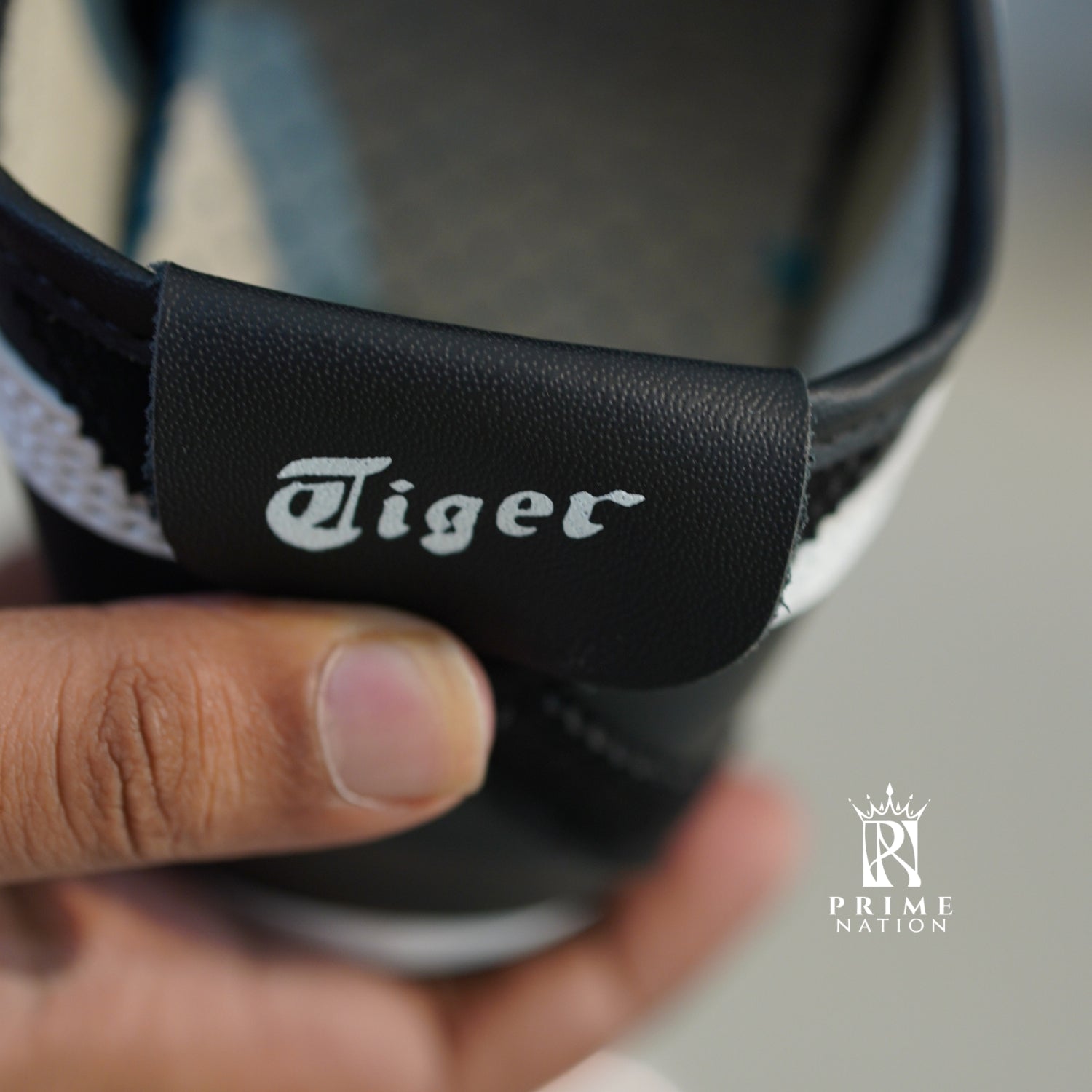 Untitled design (80)