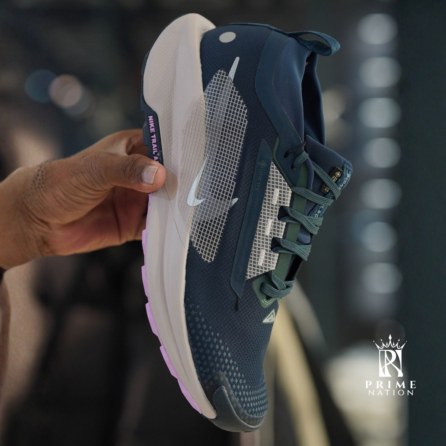 Pegasus Trail 5 Goretex Armory Navy Vintage Green