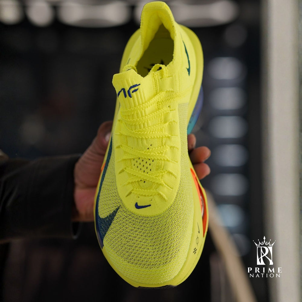 Untitled design (87)