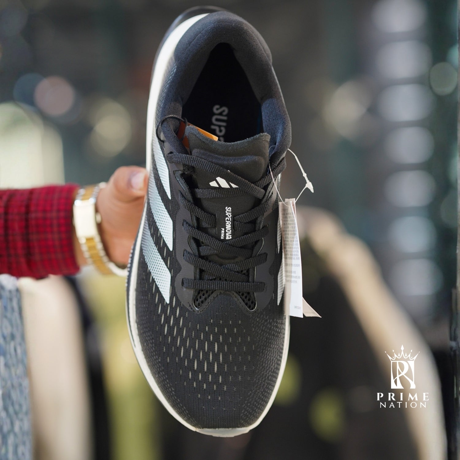 Untitled design (23)