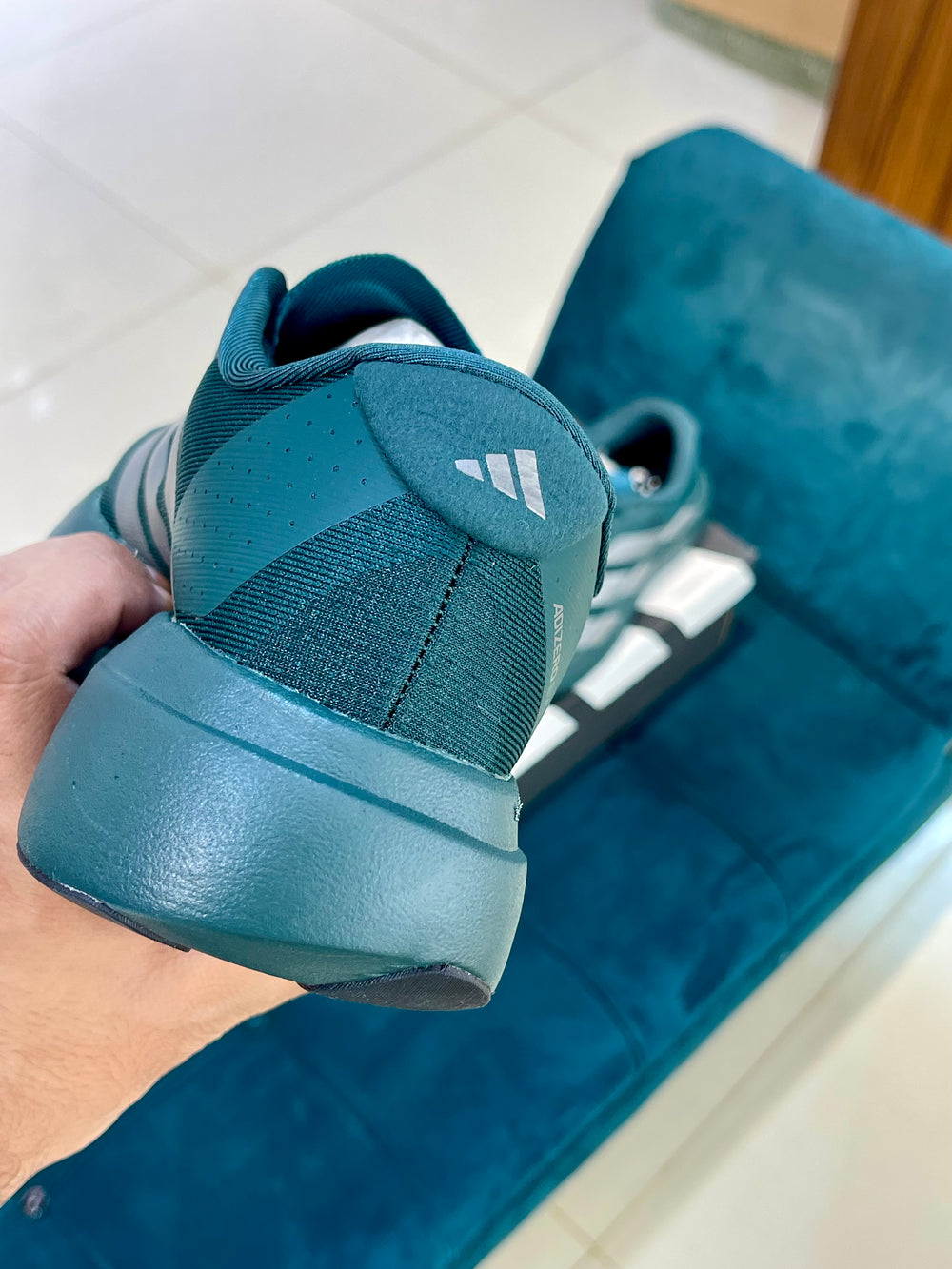 Adidas Adizero Evo SL Aurora Ivy